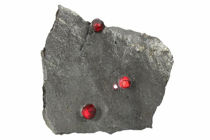 Plate of Three Red Embers Garnets in Graphite - Massachusetts #272726